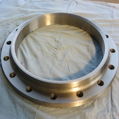 ASTM B381 GR5 Large Diameter Titanium Pipe Flanges